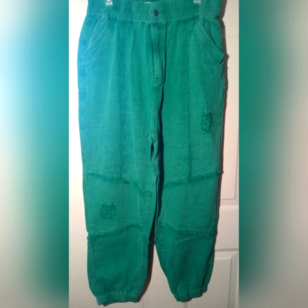IVY X POL NWOT Kelly green colored jeans size 2X